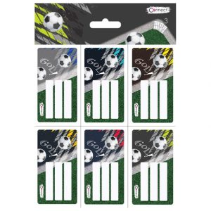 ETIKETE ŠKOLSKE 6/1X3 PLUS RASPORED SATI-DJEČACI CONNECT BLISTER