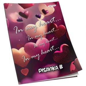 OBRAZAC ŠKOLSKI PISANKA "B" ZA 1RAZRED PREMIUM CONNECT GIRL