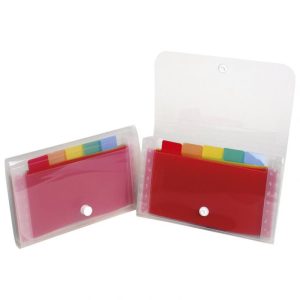 MAPA ZA KUĆNI BUDŽET 6 PREGRADA S GUMBOM (ČEK) EXACOMPTA 55498E PROZIRNA