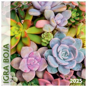 KALENDAR "IGRA BOJA 2025" 13 LISTOVA, SPIRALA